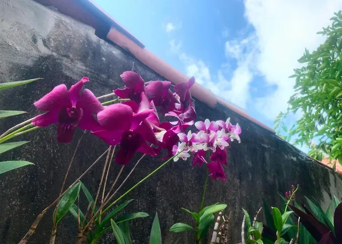 Portofino Apartamento Pôrto das Galinhas